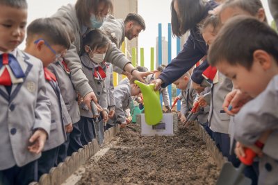 Plantation activities